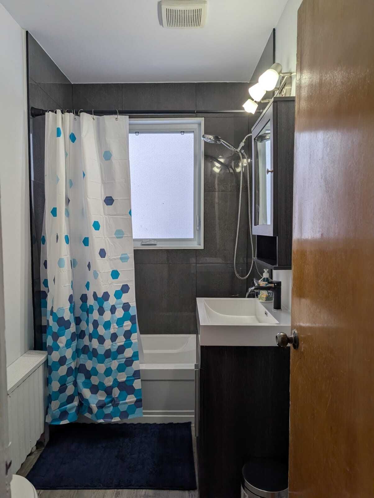 Hair dryer, bidet, towels, soap