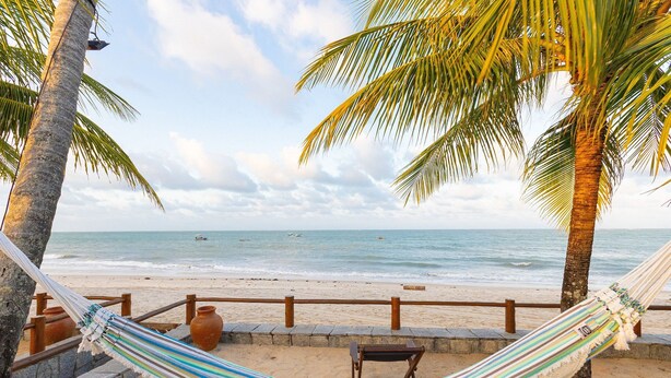 Une scène de plage avec un hamac, des palmiers et une vue sur l’océan.