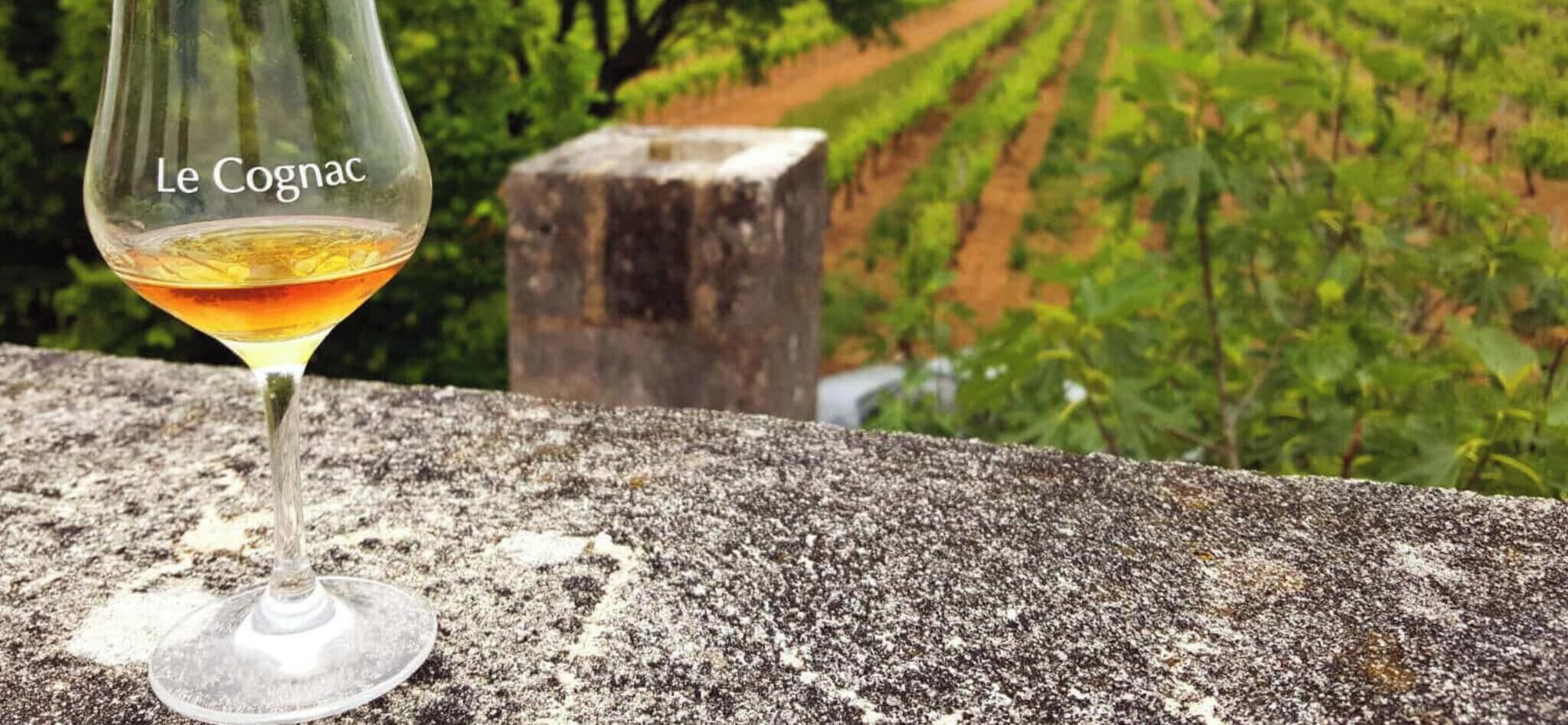 A glass of Le Cognac on a stone surface with a vineyard in the background.