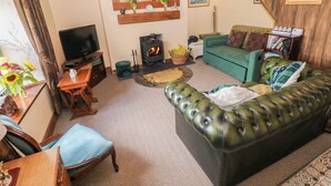 A living room with a green sofa, a television, a fireplace, and a wooden wall.