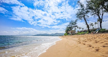 2nd floor studio with ocean views, pool, hot tub, AC - walk to beach