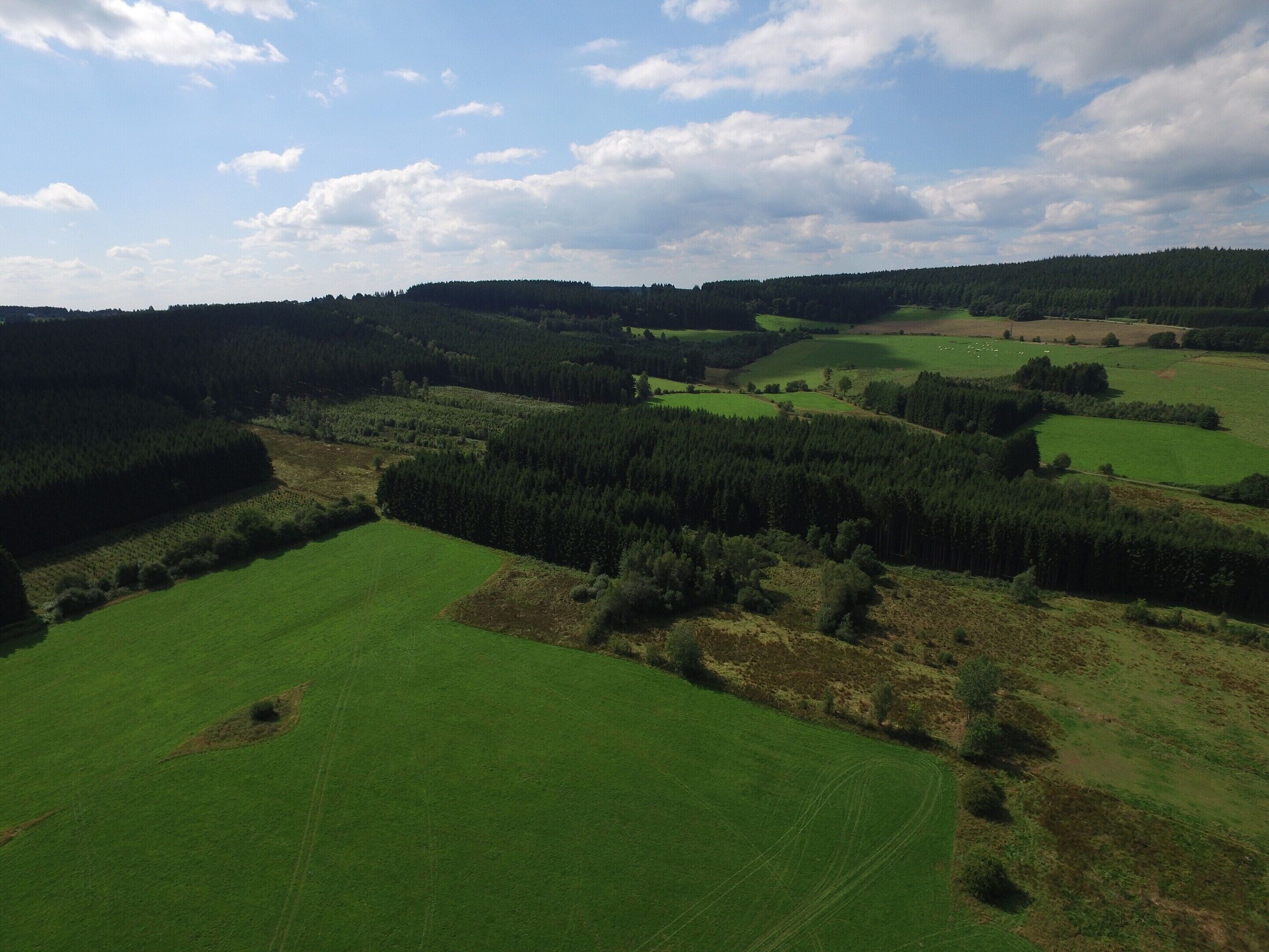 Et panorama over et landligt landskab med marker, skove og bløde bakker.