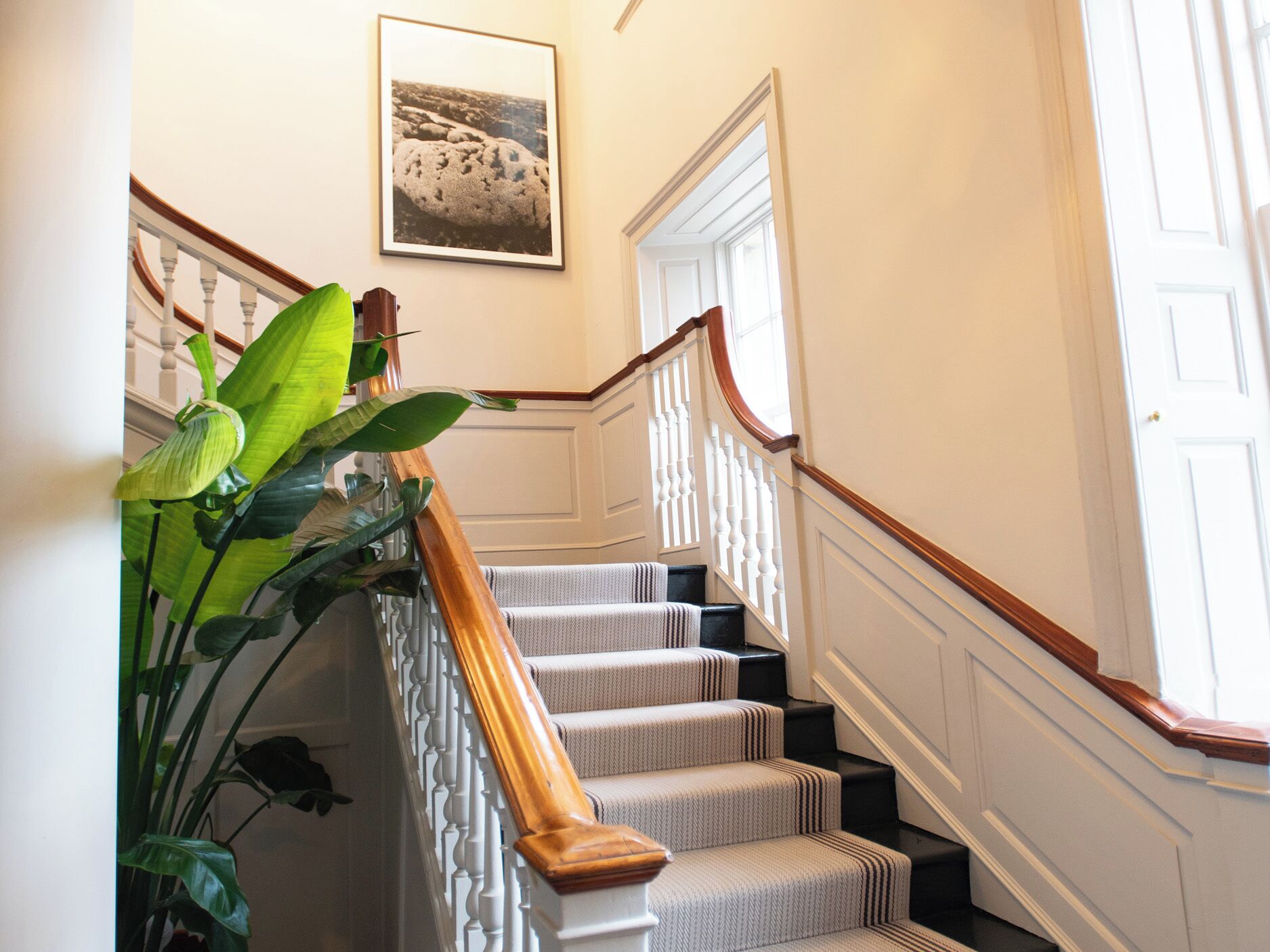 A staircase with a wooden handrail, carpeted steps, and a white door at the top.