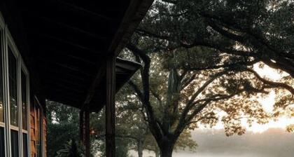 1890 House 1-bedroom Log Cabin in Stillwater