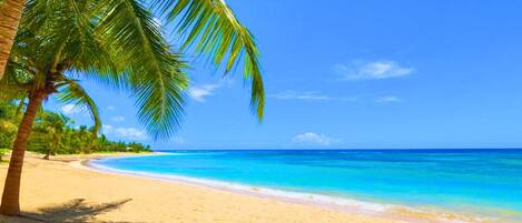 Ubicación cercana a la playa