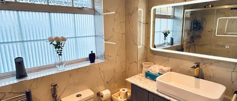Shower, hair dryer, bidet, towels