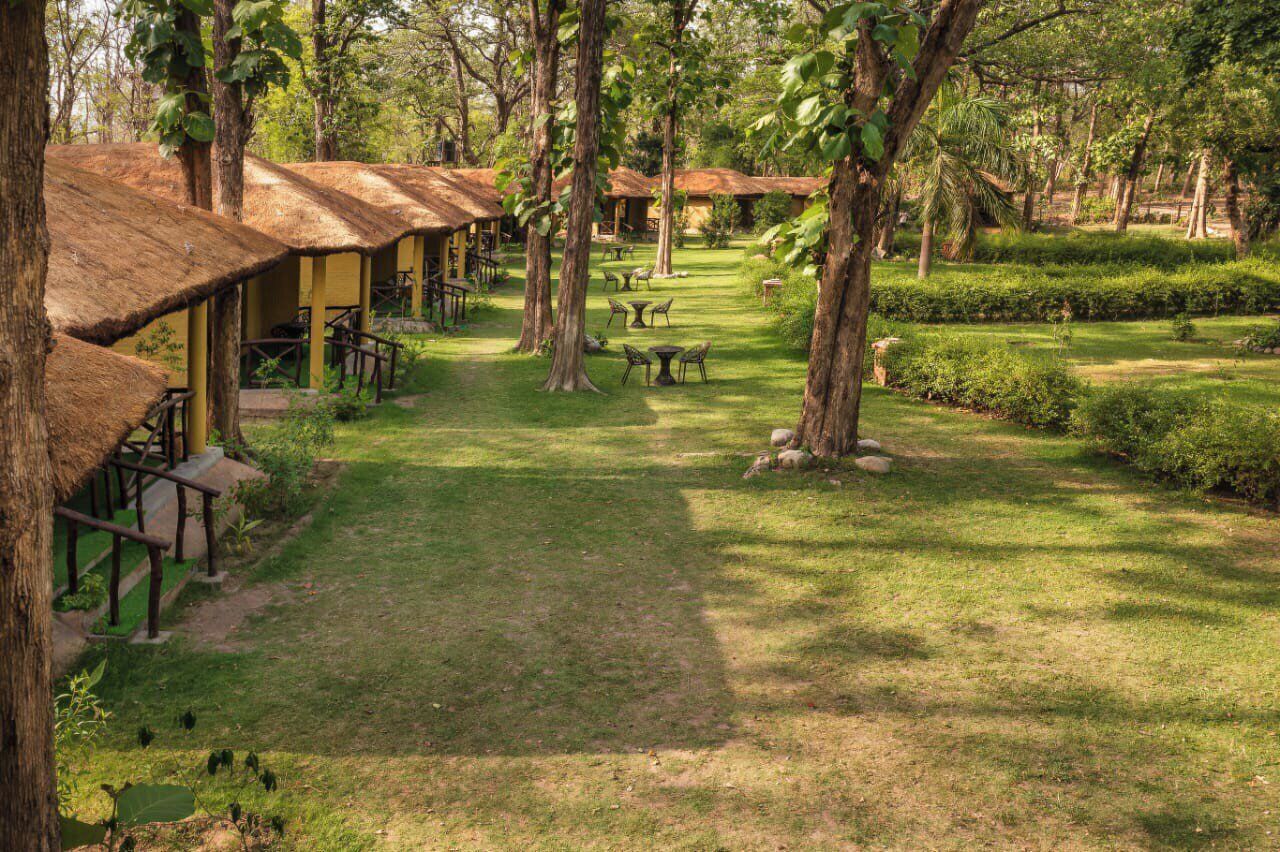A courtyard with thatched-roof huts, outdoor seating, and lush greenery.