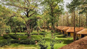 Un exuberante jardín con cabañas de techo de paja, rodeado de vegetación y árboles densos.