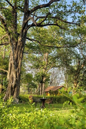 Garden view - Bijrani Jungle Cottages by CYJ (Ramnagar)