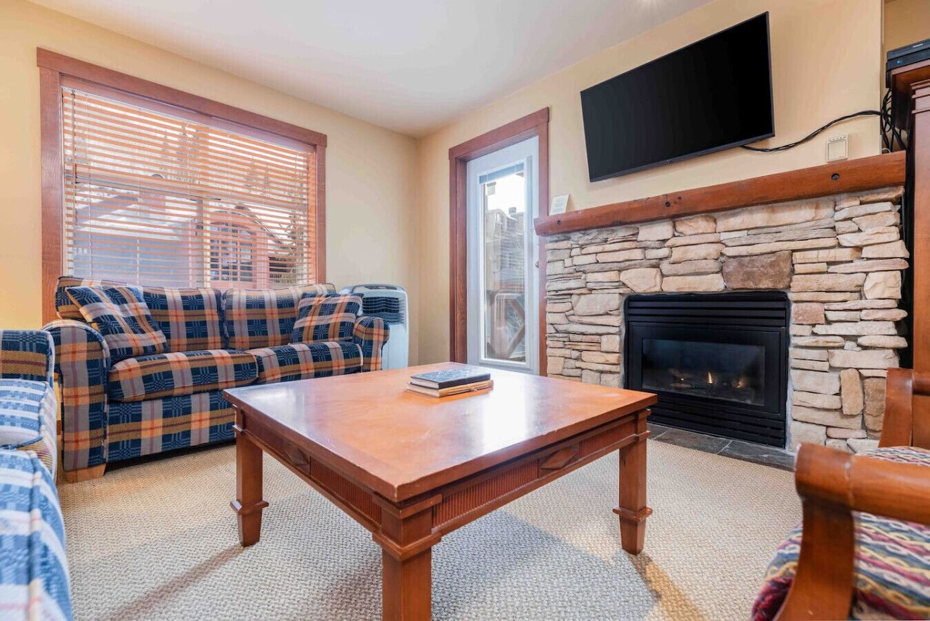 TV, fireplace, books