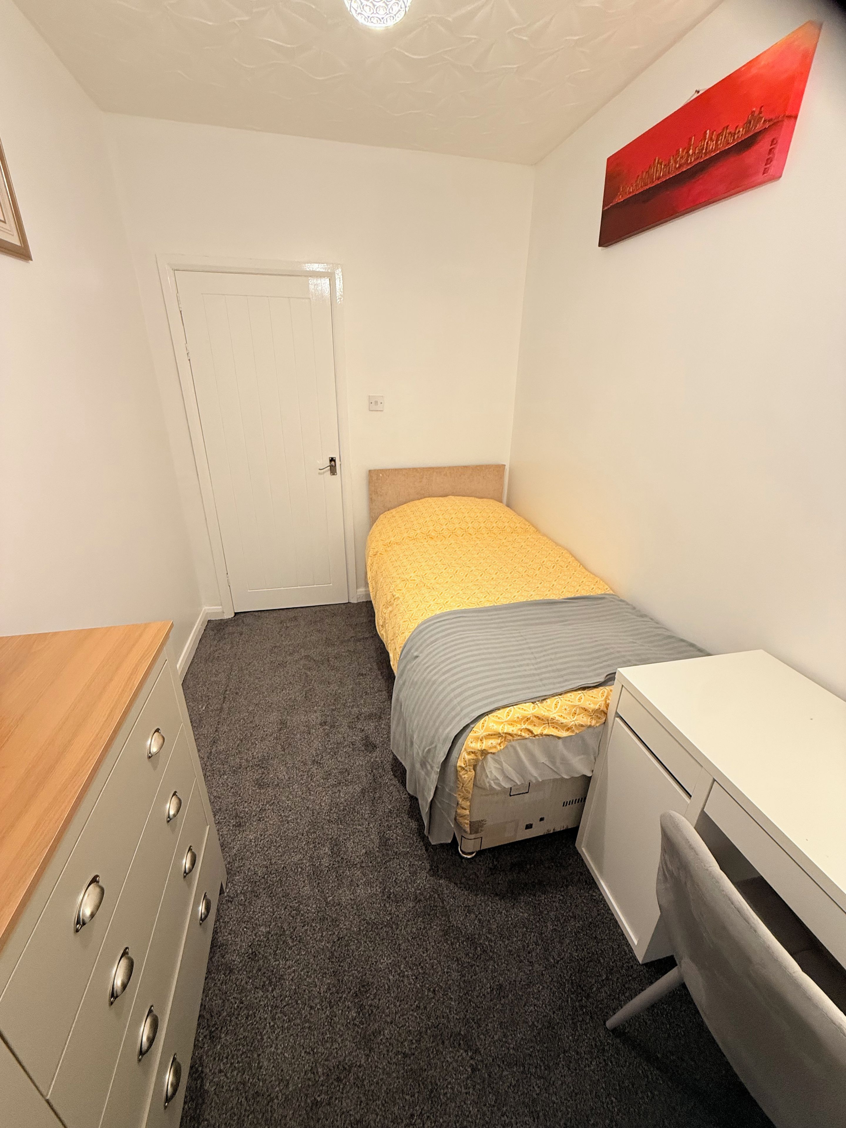 A bedroom with a bed, a dresser, a desk, and a door.