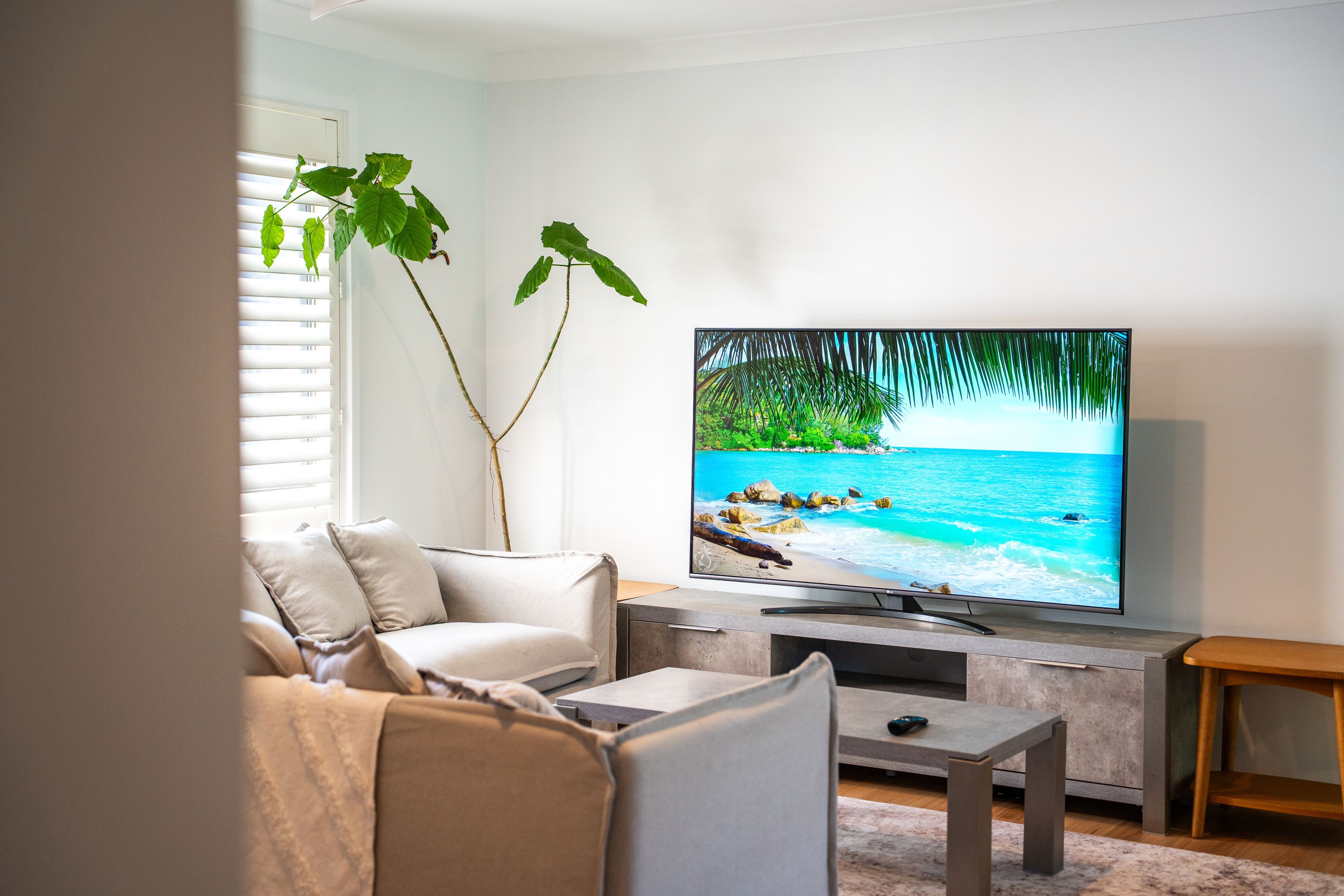 Een woonkamer met een flatscreen televisie op een standaard, een bank, een salontafel en een plant.