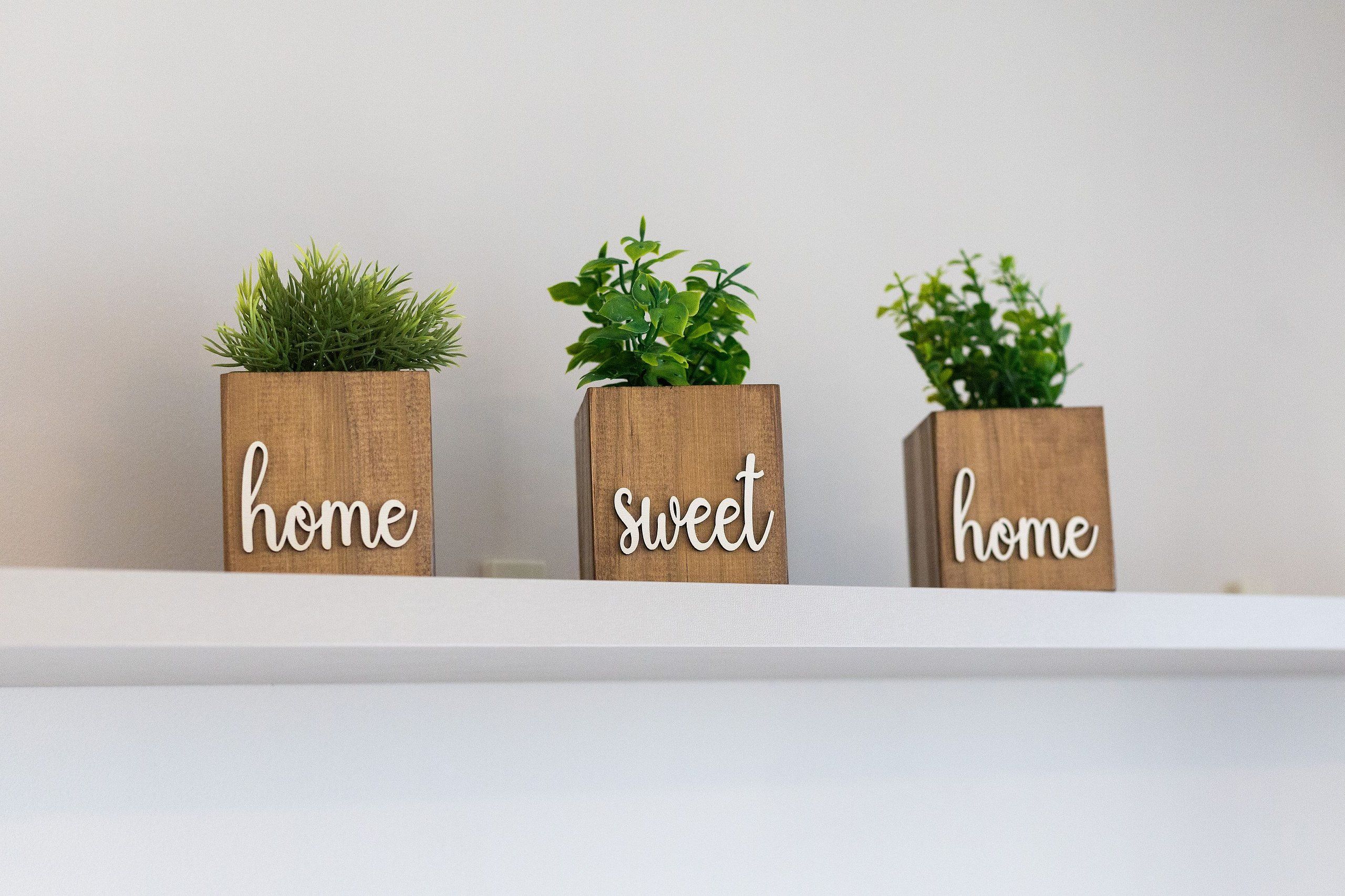 Trois blocs de bois ornés de plantes et des mots « maison », « doux » et « chez soi », disposés sur une étagère.