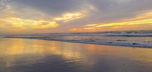 بالقرب من الشاطئ