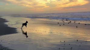 Beach nearby