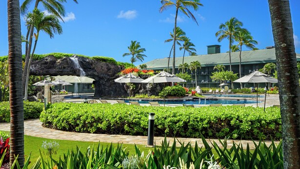 Ett semesterparadis med pool, palmer och ett vattenfall.