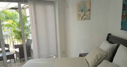 Perfect Modern Holiday Home for 7 In Flic En Flac