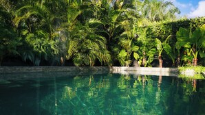 A clear pool surrounded by lush tropical vegetation. - Artistic Dream Mansion in Jurere International, Brazil (Florianópolis)