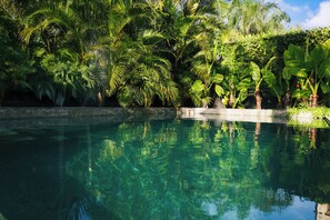 Pool - Artistic Dream Mansion in Jurere International, Brazil (Florianópolis)