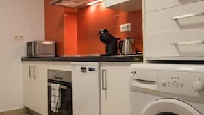 A compact kitchen with a built-in oven, a dishwasher, and a washing machine. - Night In Sevilla Duplex (Seville)