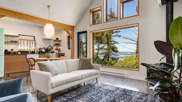 TV connectée, cheminée