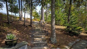 A stone staircase leading up a forested area with a potted plant on the left. - Pondside Cottage w/ Dock & Patio! [Loons Nest] (Mount Desert)