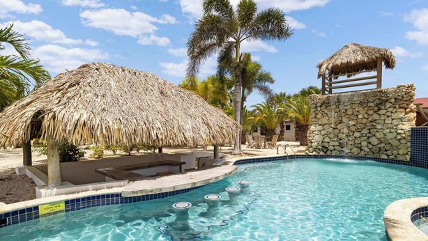 A clear swimming pool with a thatched-roof structure and stone walls, surrounded by palm trees. - Boat House with air conditioning in the living room and communal pool (Kralendijk)