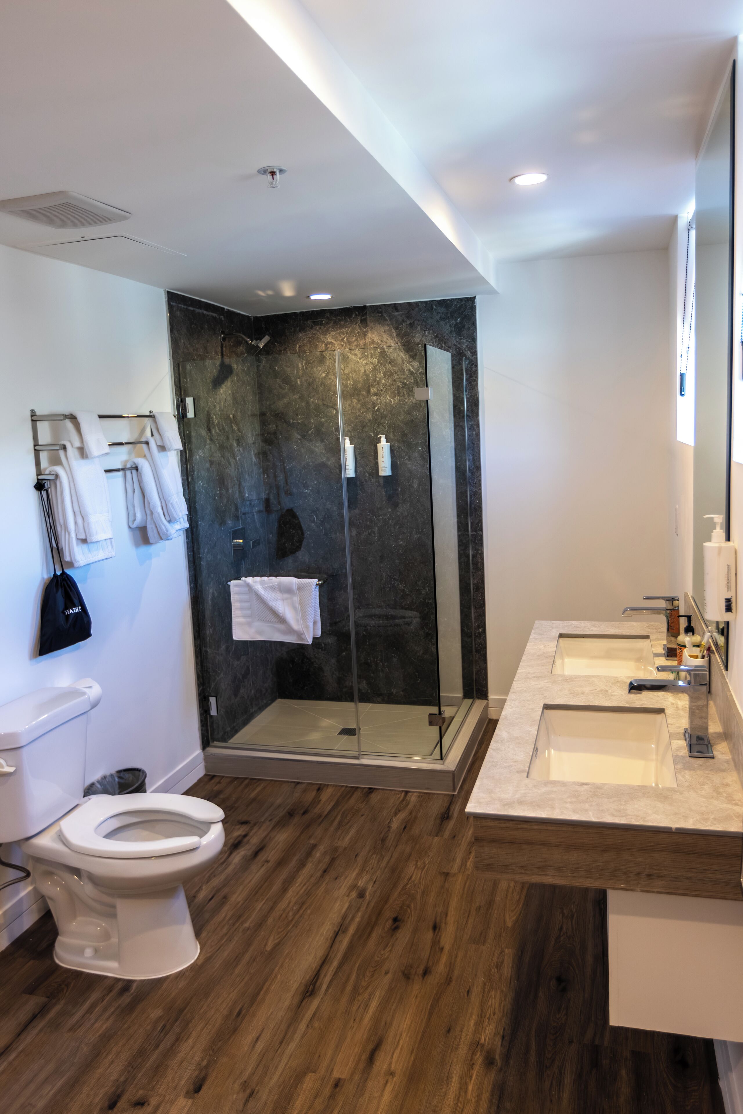 Une salle de bain moderne avec une douche à parois de verre, un meuble-lavabo à deux vasques et des toilettes.