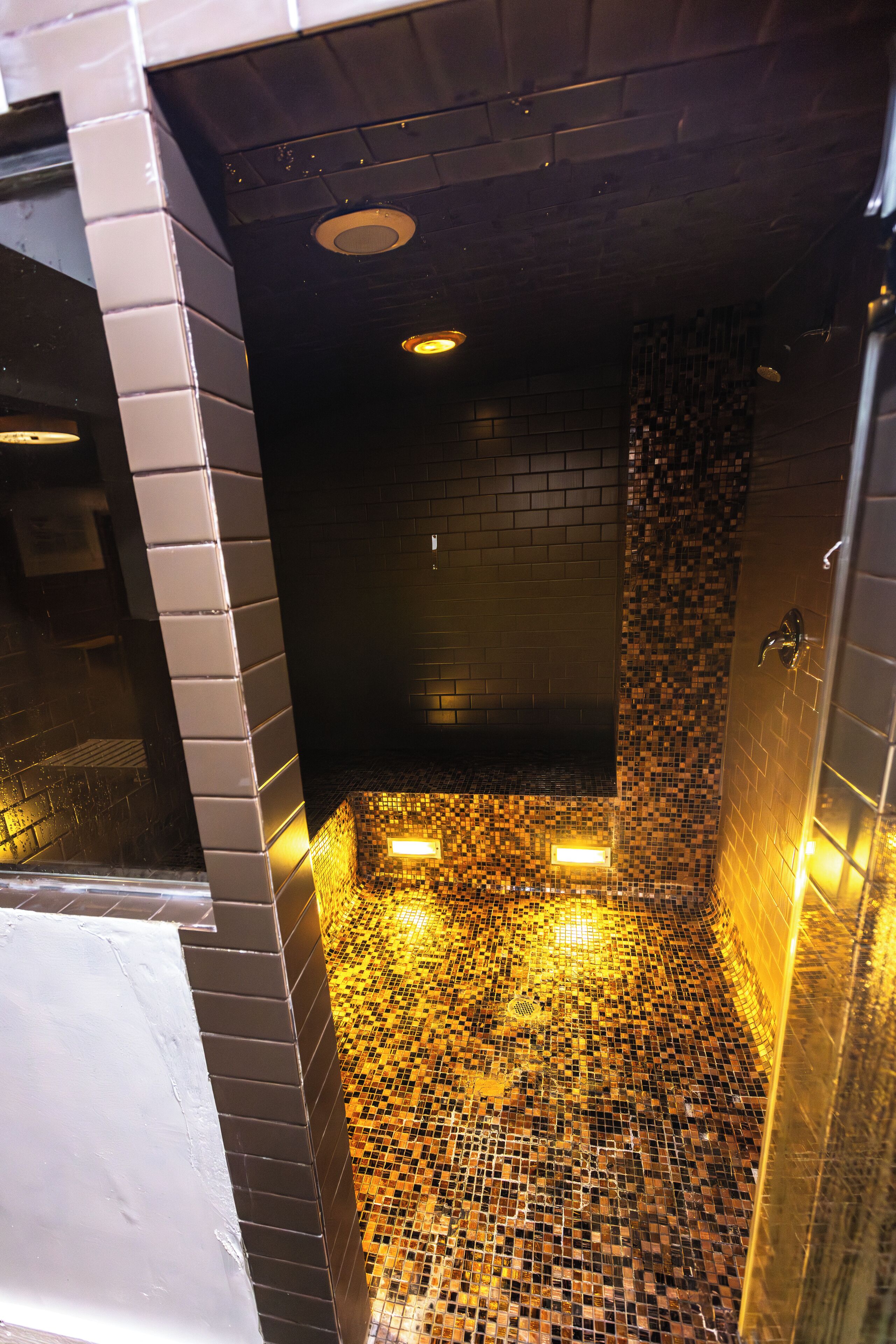 A tiled shower area with a mosaic floor and a glass door.