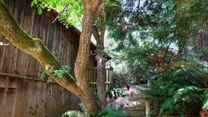 A wooden staircase surrounded by lush greenery and a wooden fence.