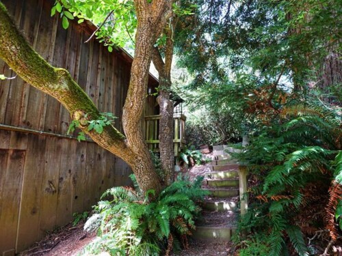 Tranquil Redwood Hideaway with private patio and fast wifi
