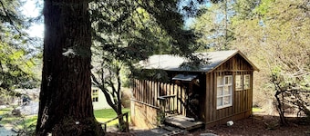 Tranquil Redwood Hideaway with private patio and fast wifi