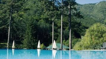 Outdoor pool, pool umbrellas, pool loungers