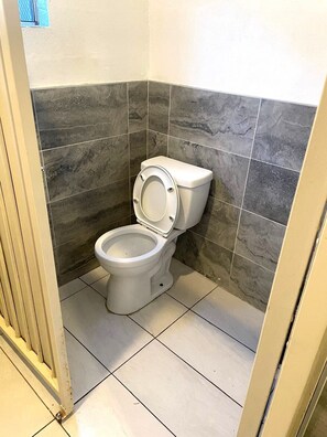 Kostenlose Toilettenartikel, Seife, Toilettenpapier