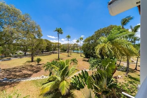 Property grounds - Beachfront with resort pool - Glitter Bay 414 (Porters)