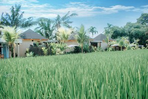 Vista del paisatge des de l'allotjament