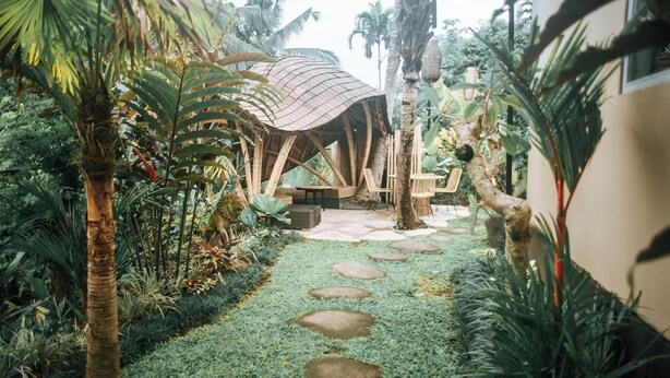 Un jardín tropical con un sendero de piedra, una estructura de madera y abundante vegetación.