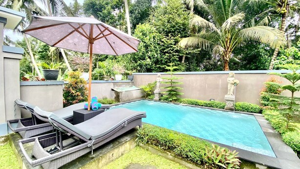 Une piscine entourée d’une végétation luxuriante et de palmiers, avec des chaises longues et un parasol.