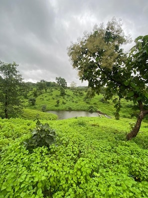 Exterior - Growpure Luxury Farm & Nature Resort (Kushalgarh)