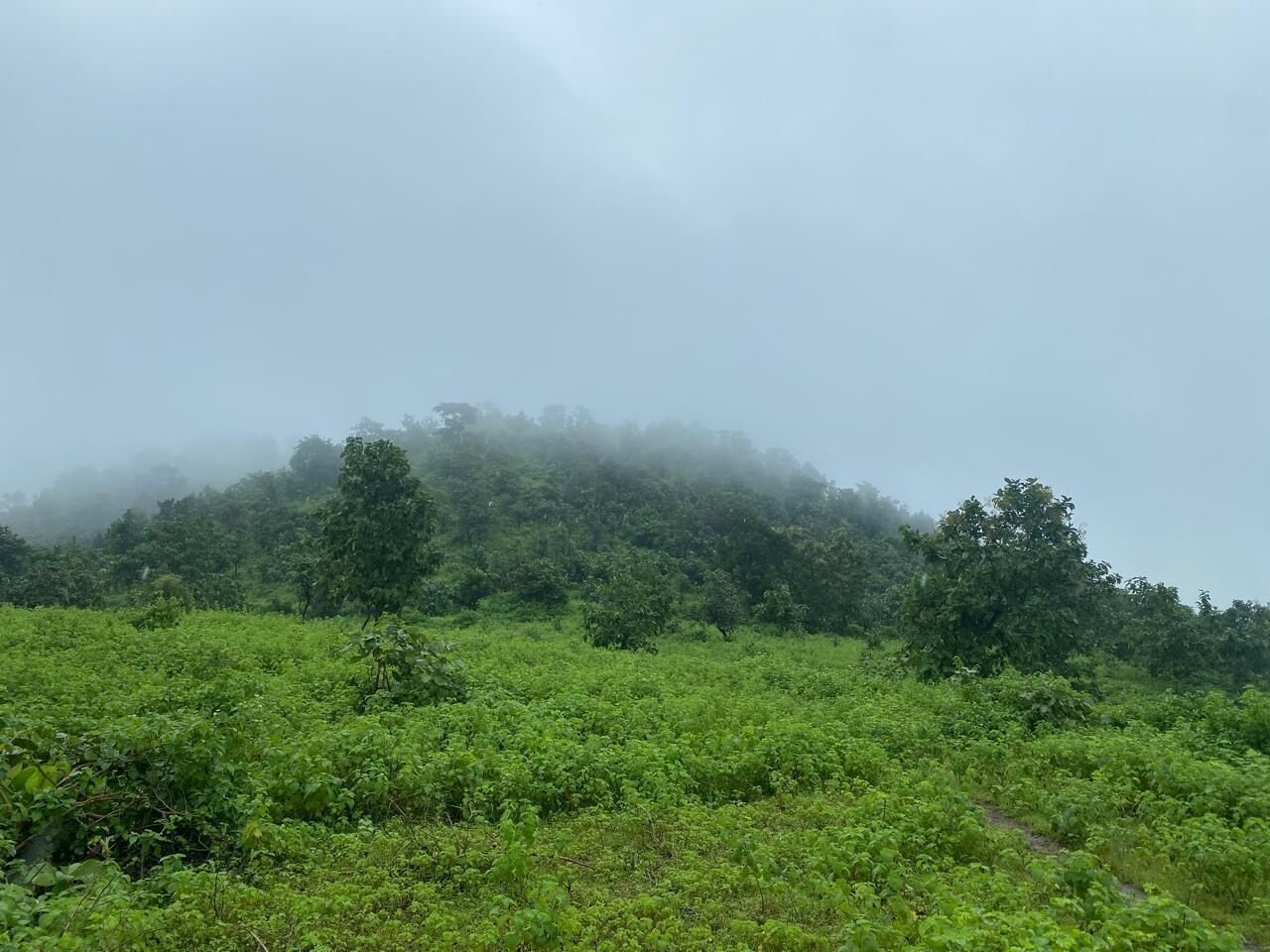Vista frontal de la propiedad