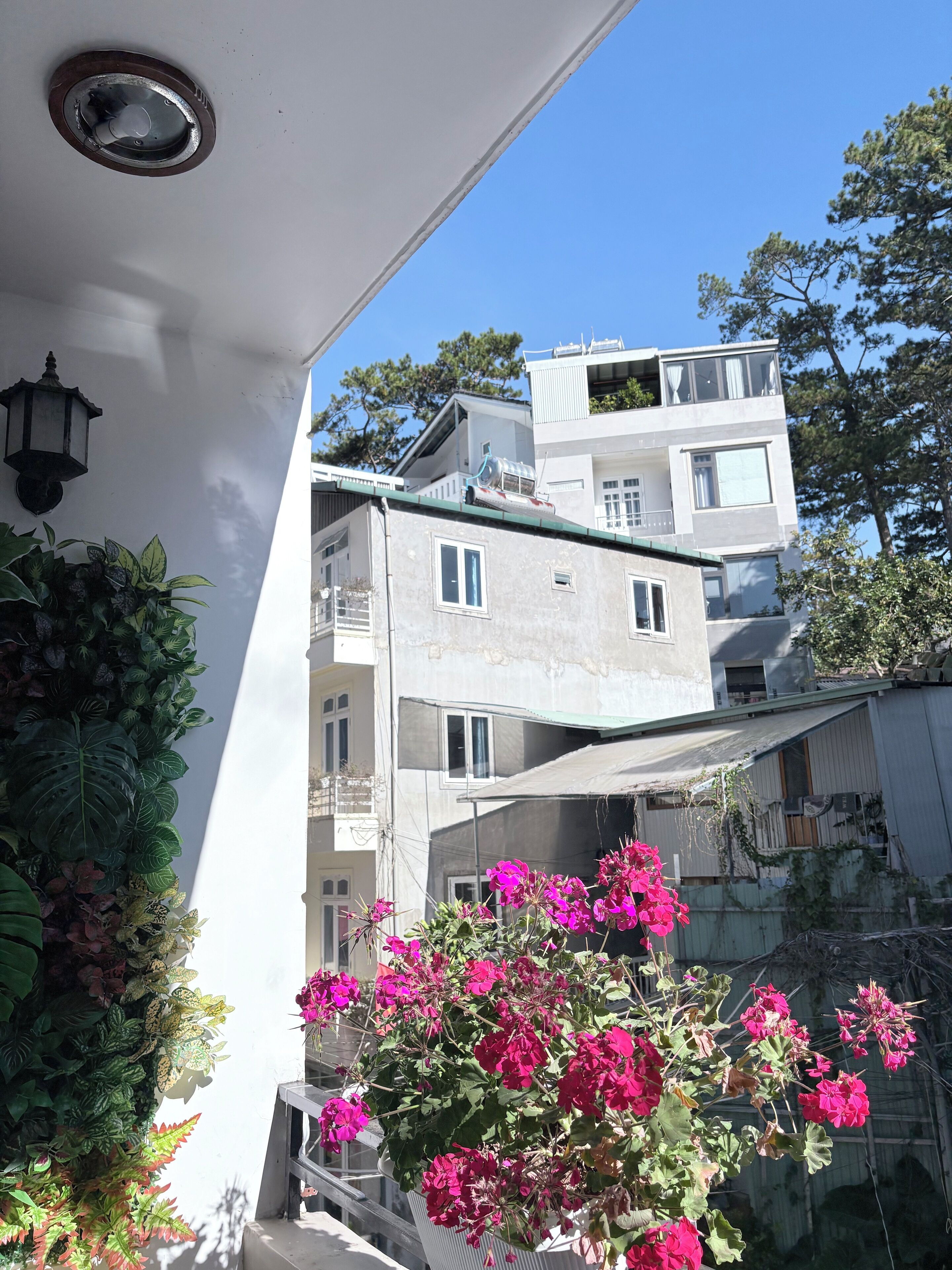 숙박 시설에서 보는 주변 전망