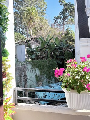 Vue depuis l’hébergement