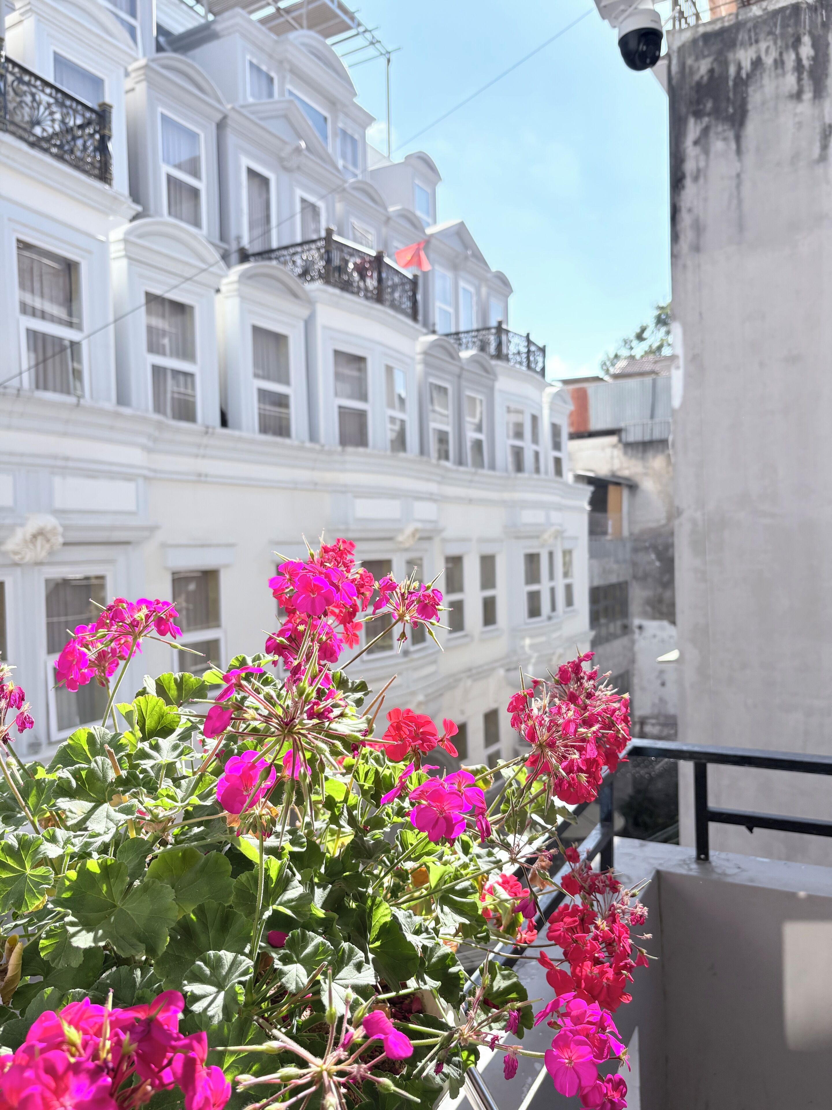 A balcony with pink flowers and a view of white buildings.