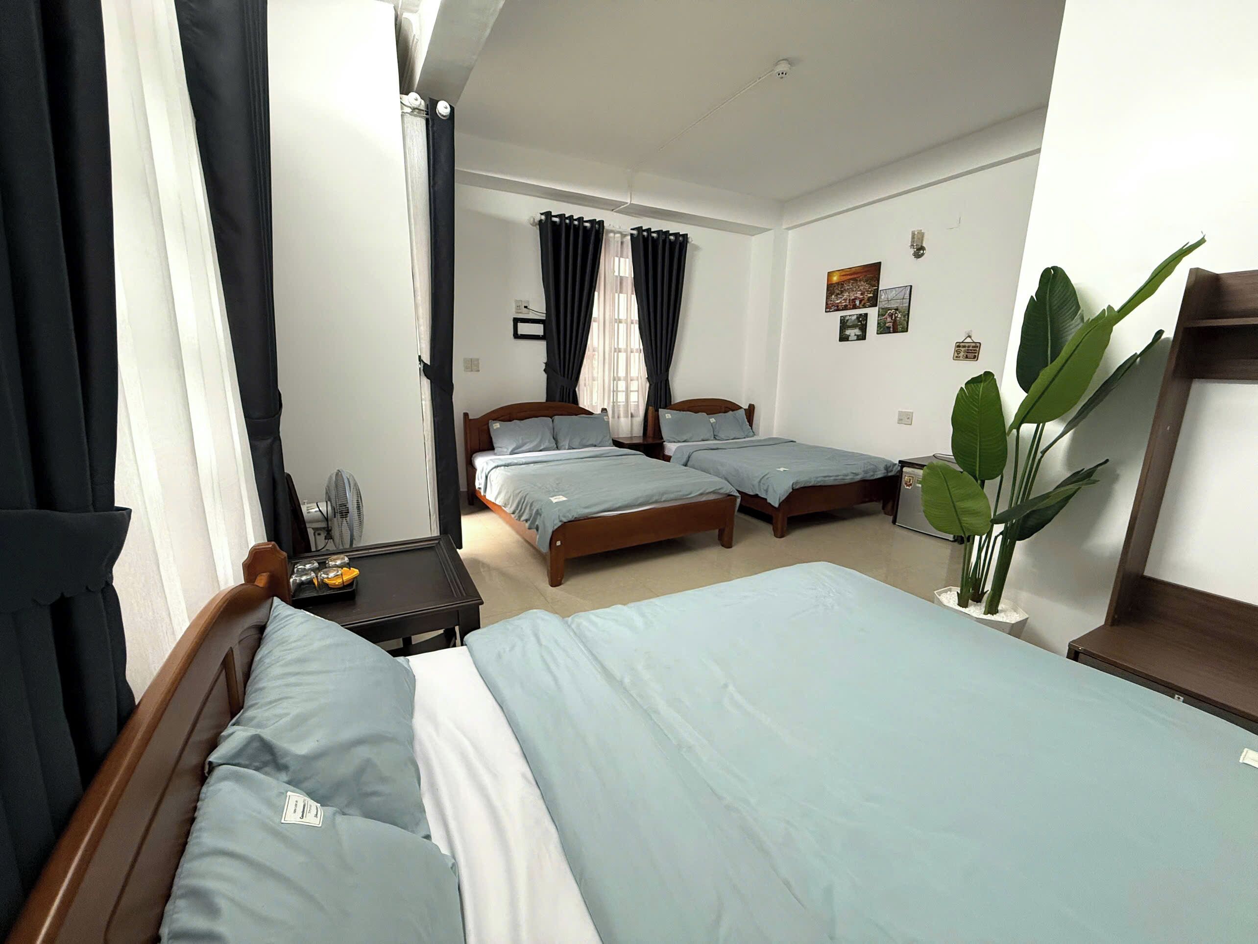 A hotel room with two single beds, a small table with a fan, a potted plant, and a window with curtains.