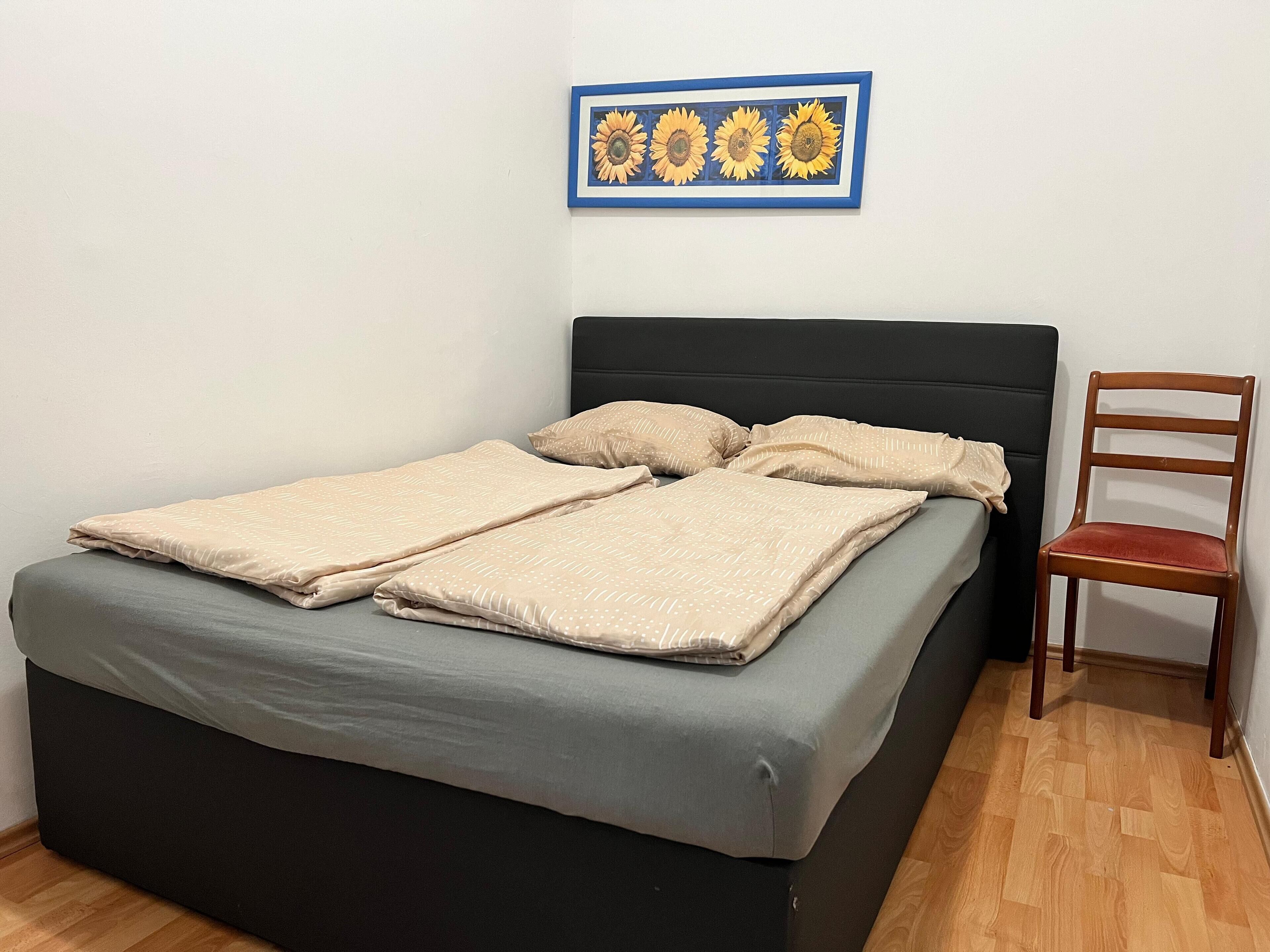 Basic-Apartment | Bügeleisen/Bügelbrett, kostenloses WLAN