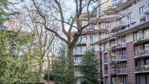 A courtyard with a tree, a small canal, and a building with multiple balconies and scaffolding. - Brussels EU Center residence (Brussels)