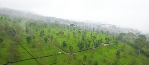 Aerial view - The Lakebox Menjer by Travelink (Wonosobo)
