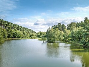 Uklassifisert bilde, 5 av 6, knapp