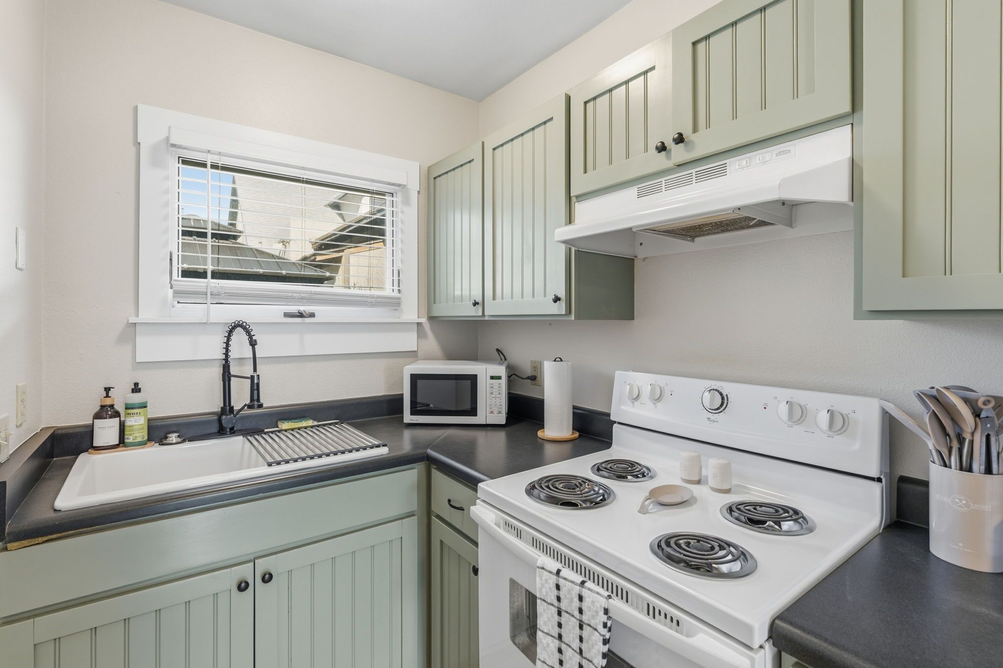 Microwave, oven, stovetop, dishwasher