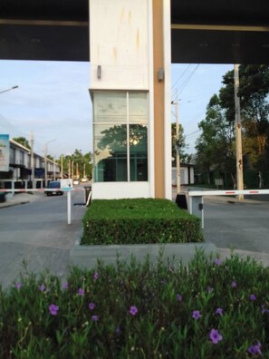 Um edifício moderno com fachada de vidro, um sebe verde e um canteiro de flores roxas.